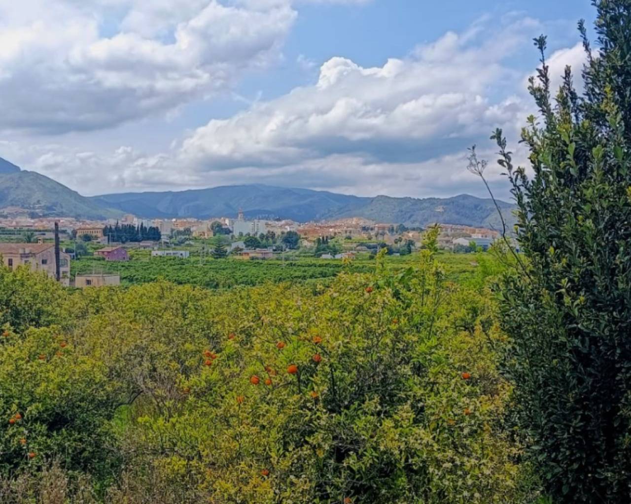 Vente - Terrain - Pego