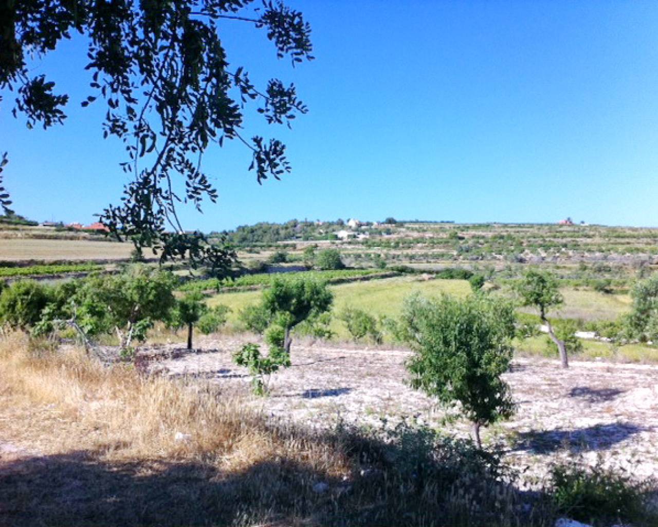 Vente - Terrain - Teulada - Benimarco