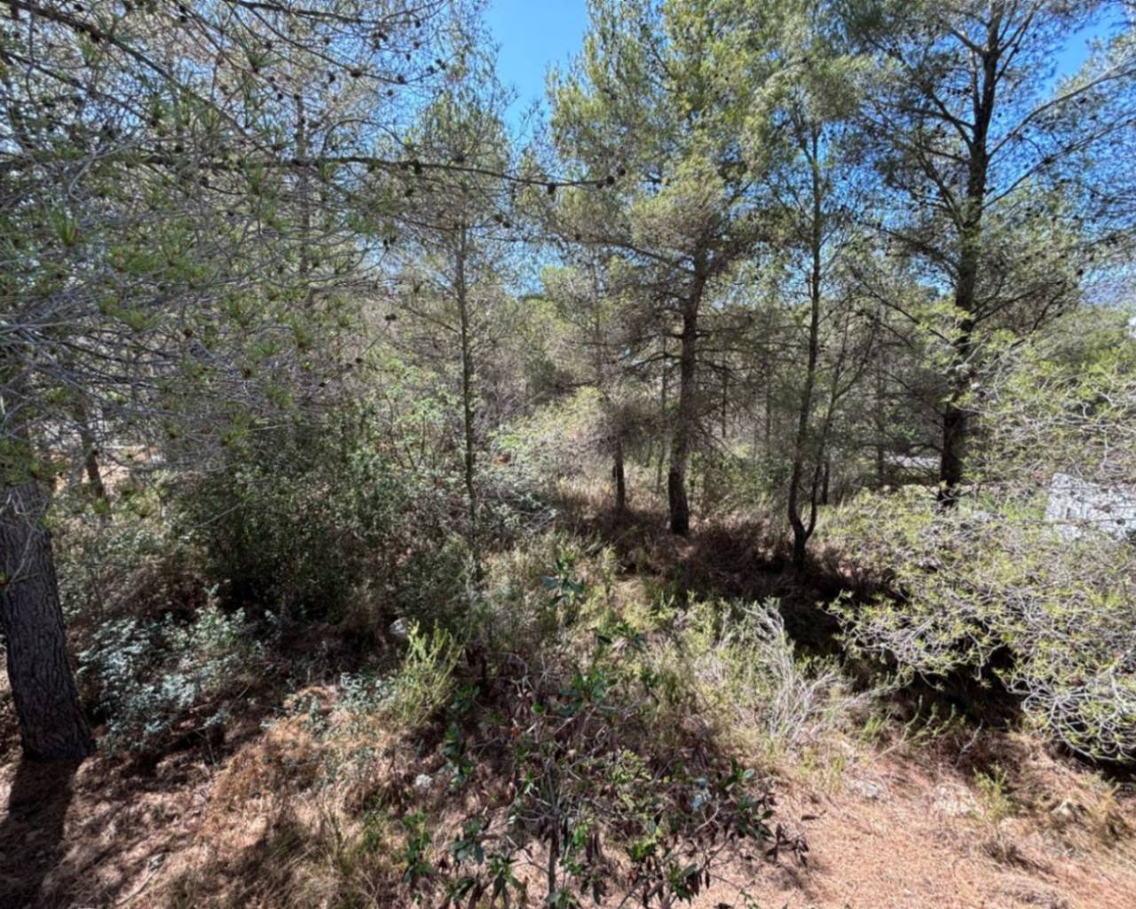 Vente - Terrain - Javea - Covatelles