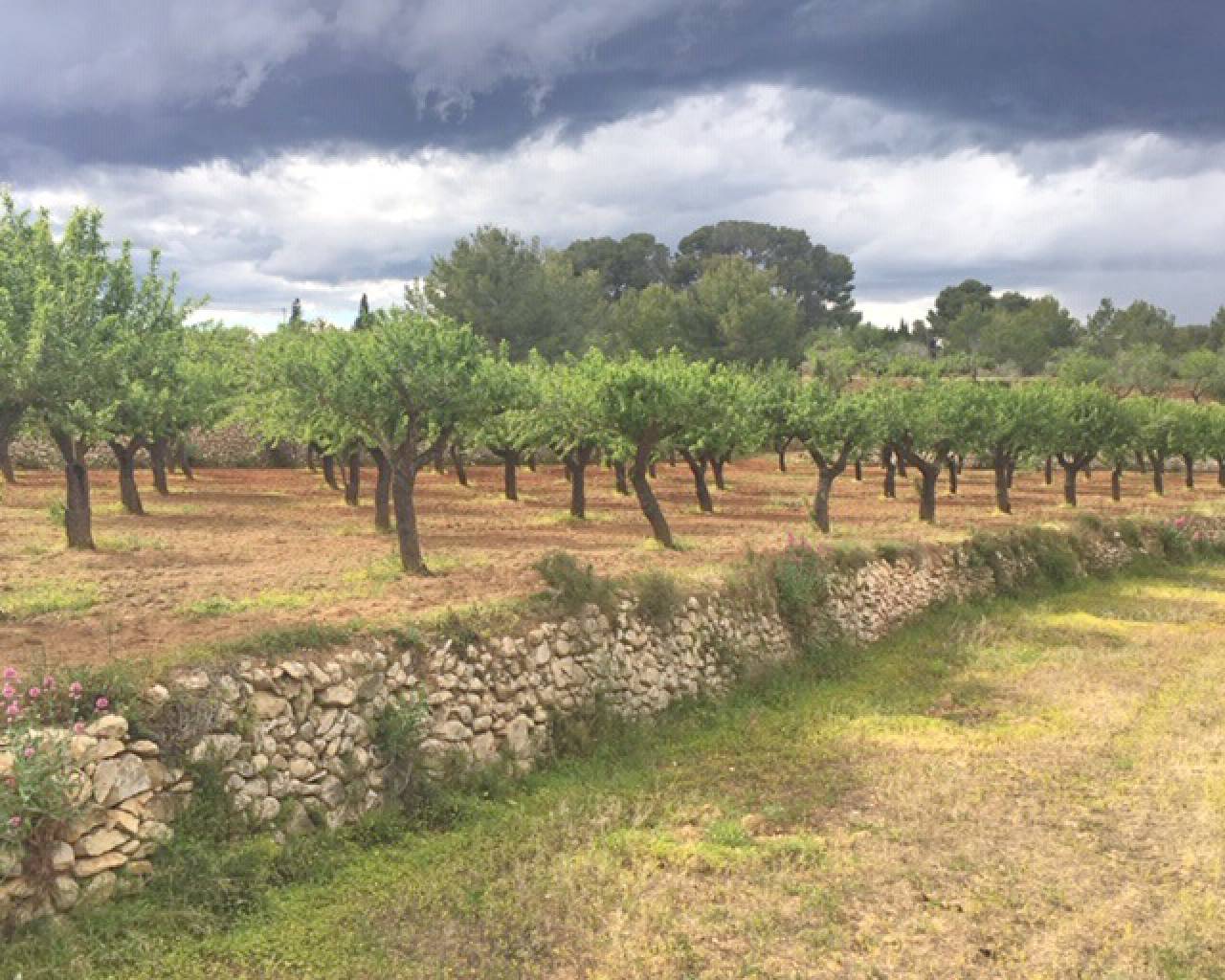 Vente - Terrain - Benissa - Rural