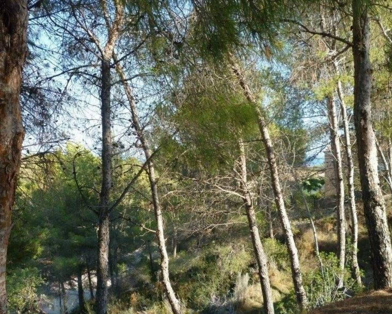 Vente - Terrain - Benissa - Magraner