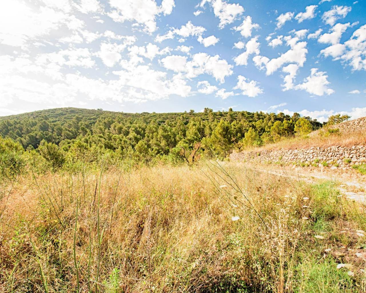 Vente - Terrain - Jalon Valley - Bernia