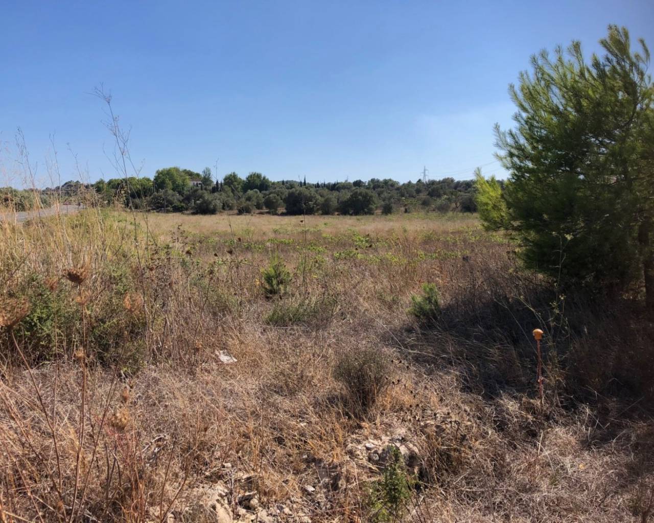 Vente - Terrain - Teulada - 03725