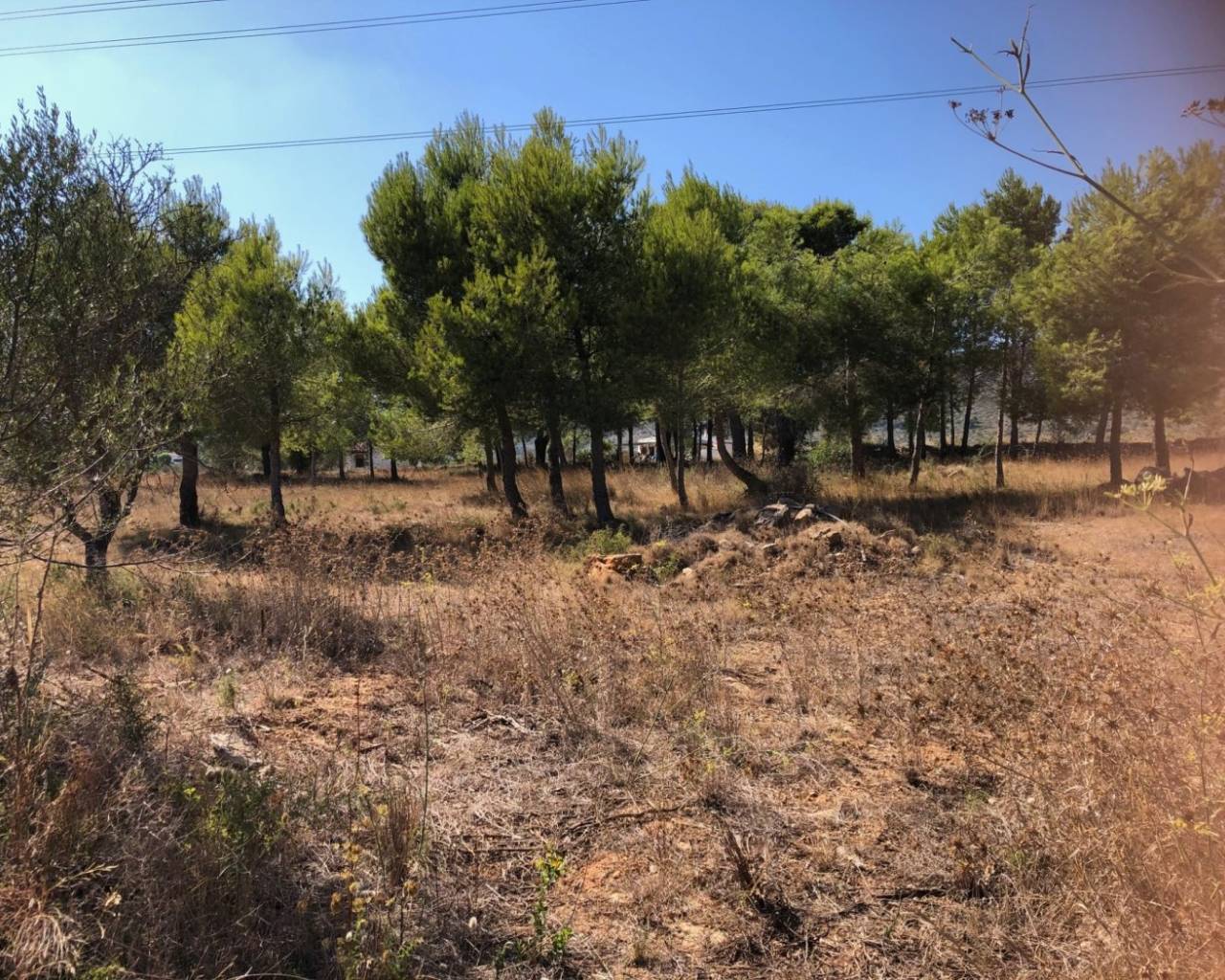 Vente - Terrain - Teulada - 03725