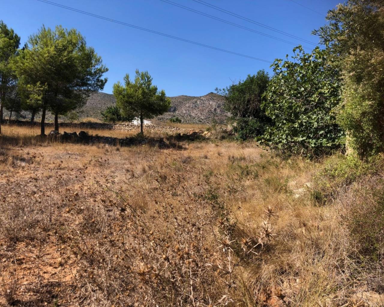 Vente - Terrain - Teulada - 03725
