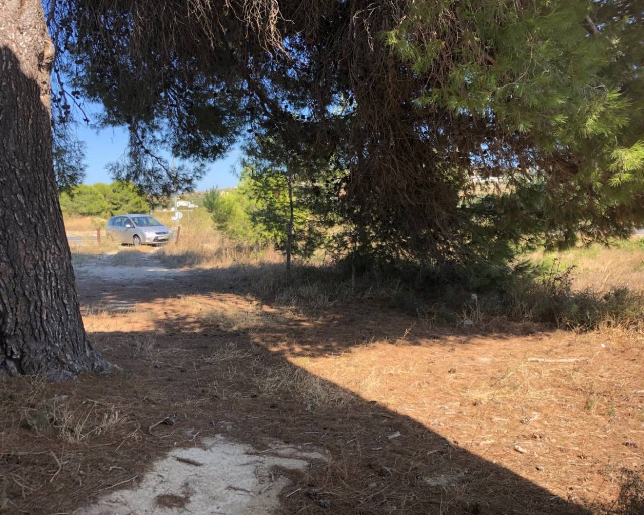 Vente - Terrain - Teulada - 03725