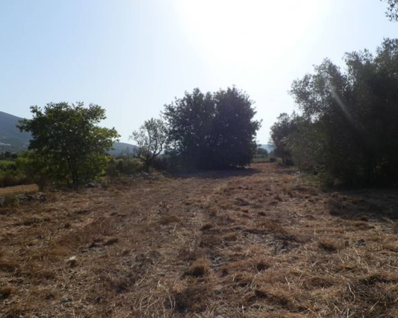 Vente - Terrain - Jalon Valley - Jalon