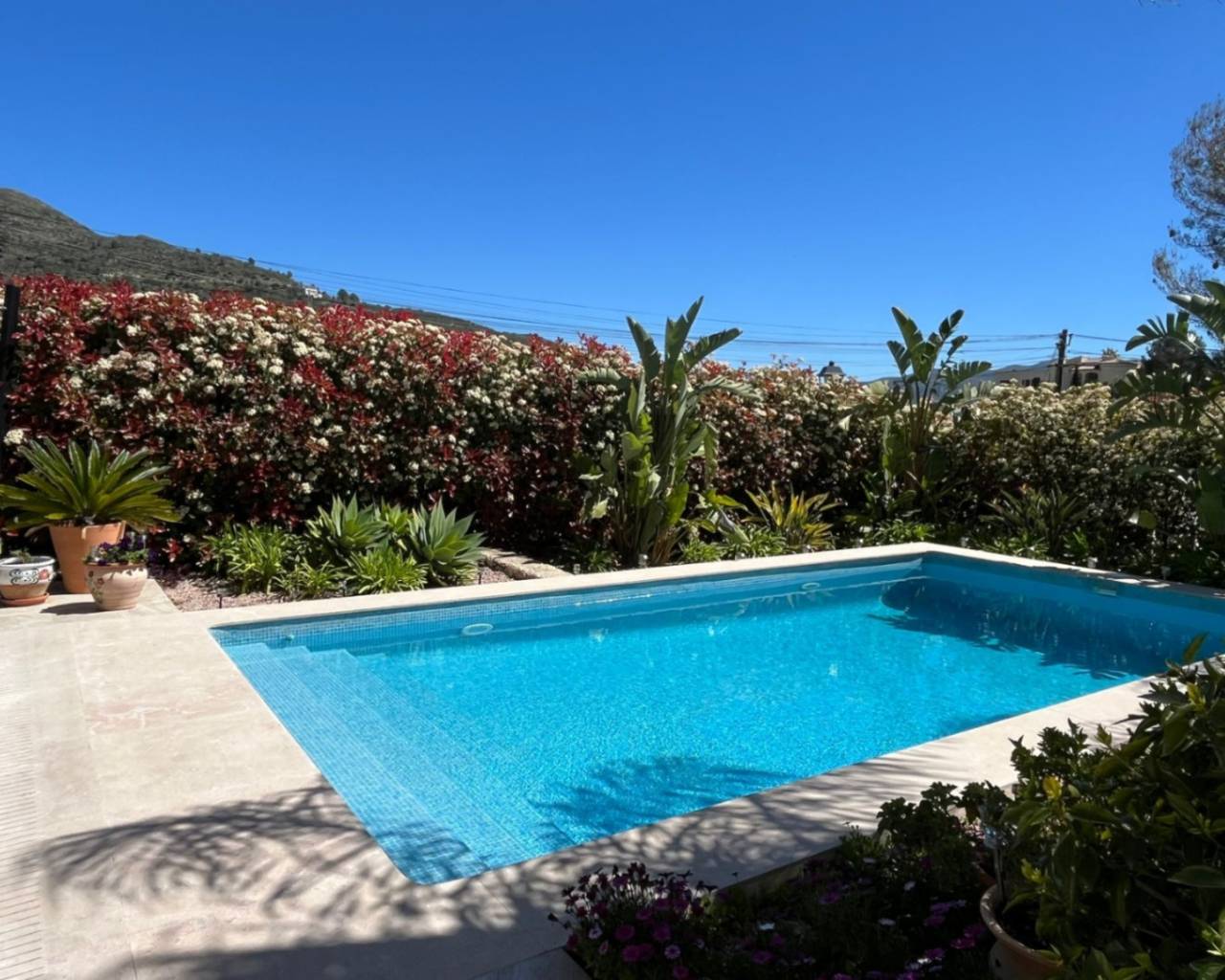 Vente - Villa individuelle - Jalon Valley - Alcalali