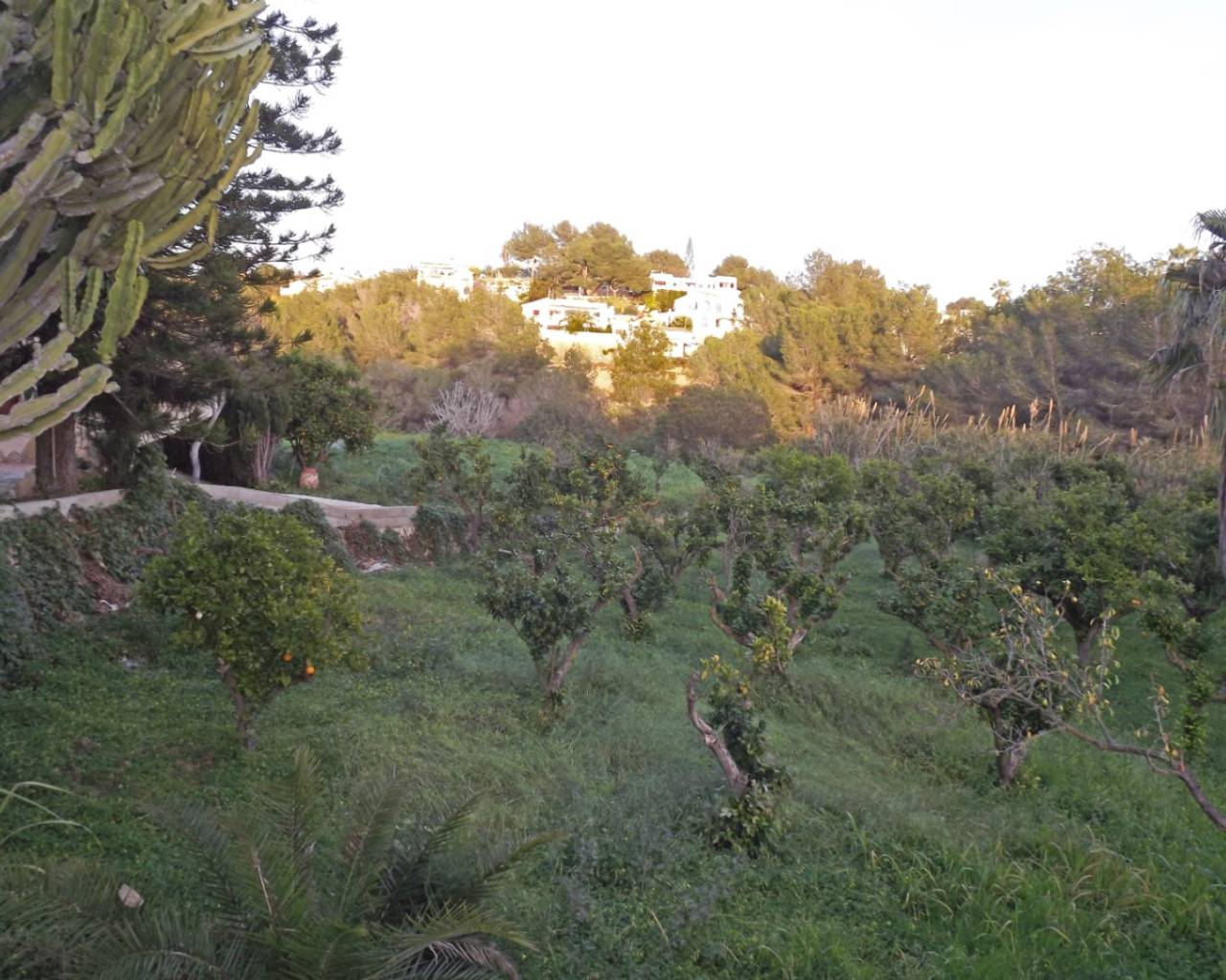 Vente - Villa individuelle - Benissa