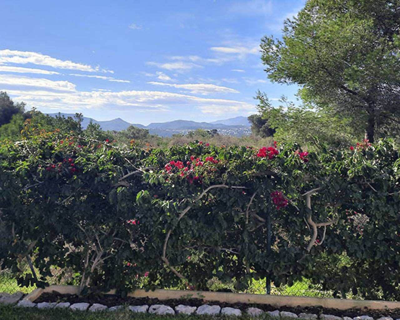 Vente - Villa individuelle - Dénia - Denia