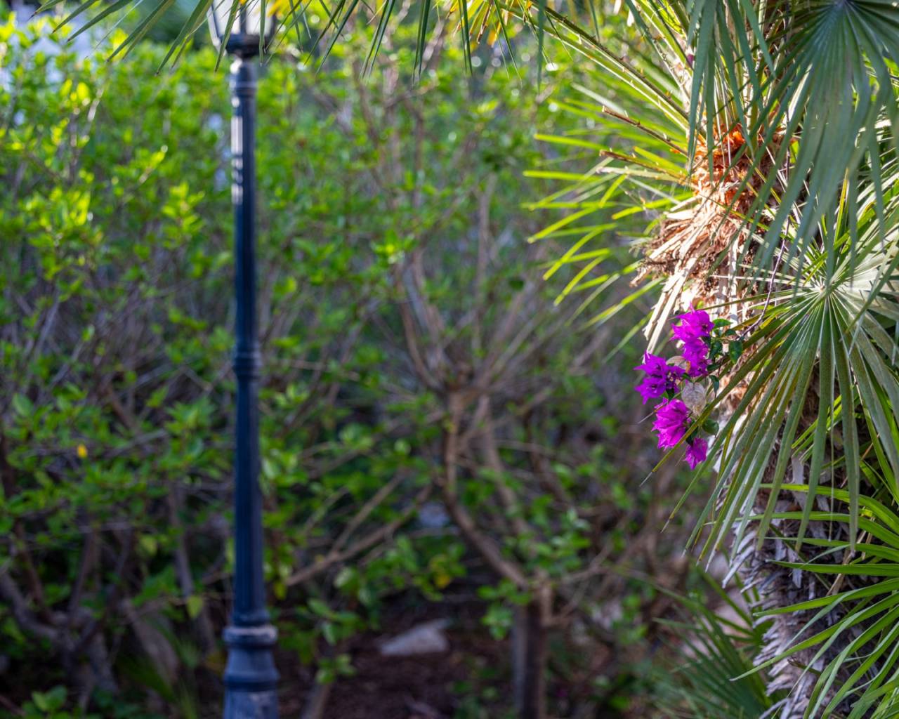 Vente - Villa individuelle - Javea