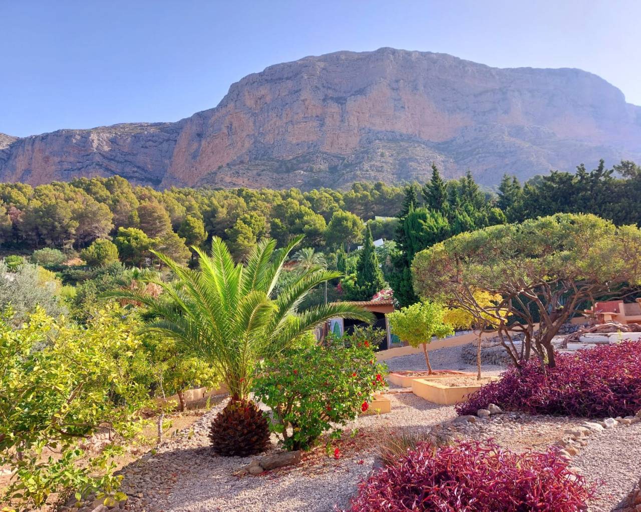 Vente - Villa individuelle - Javea