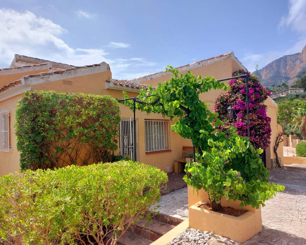 Vente - Villa individuelle - Javea