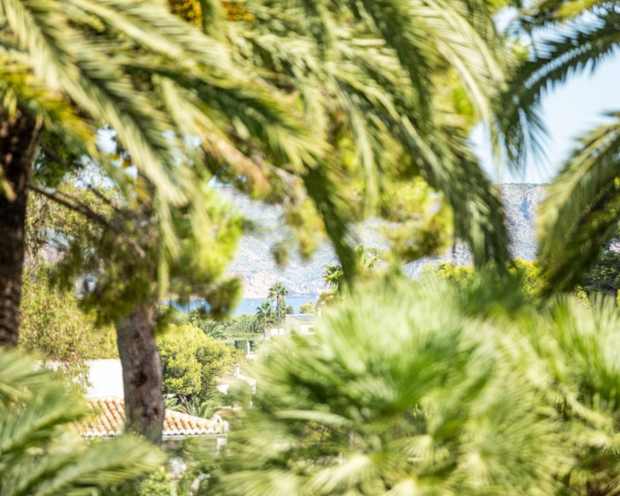 Rental - Detached villa - Javea