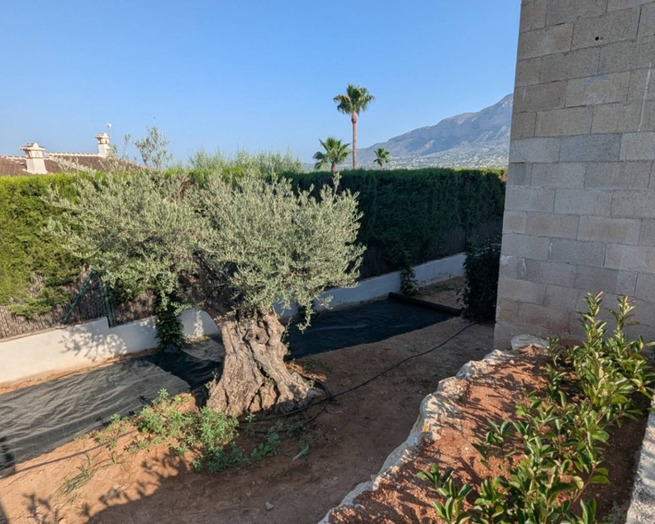 New Build - Detached villa - Javea