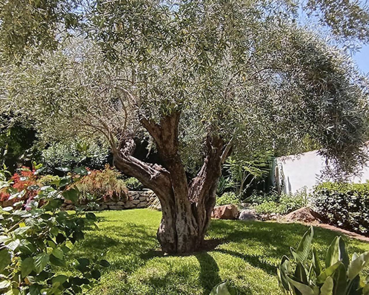 Sales - Detached villa - La Sella, Denia - La Sella