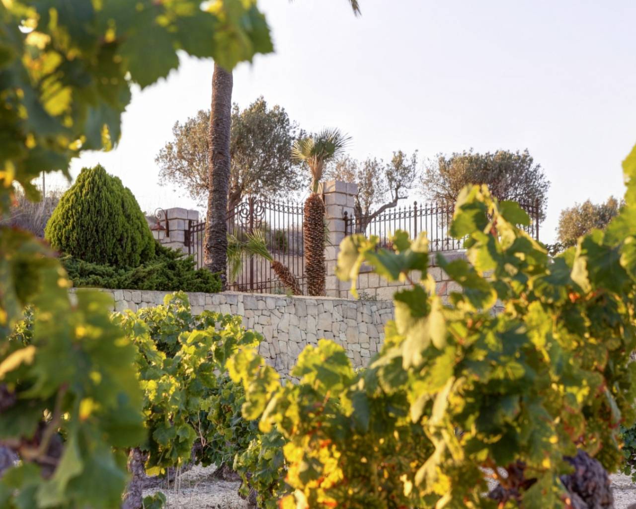 Sales - Finca - Moraira - Campo