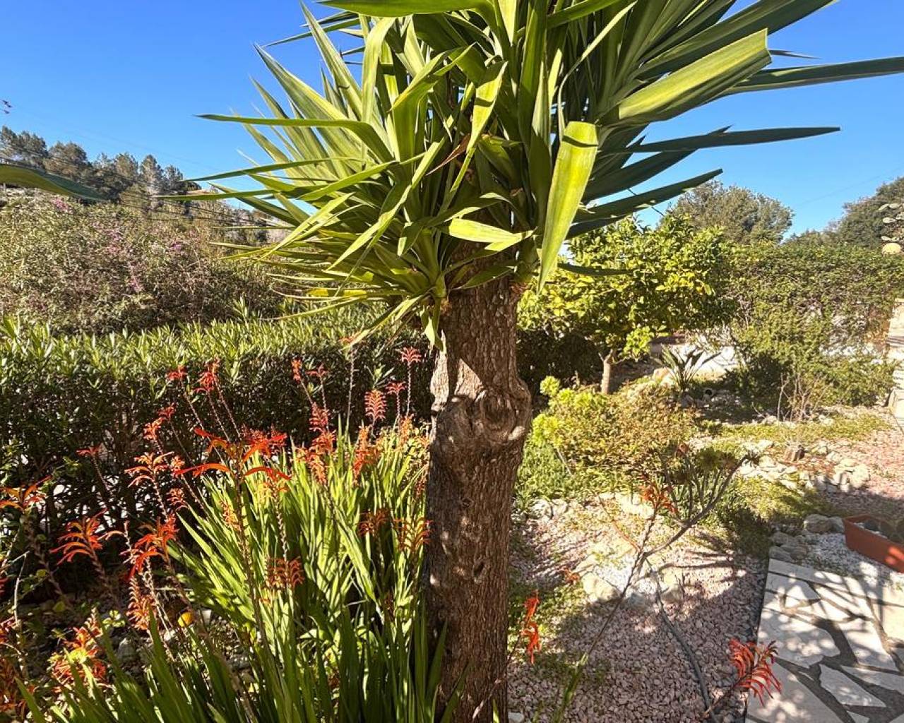 Vente - Villa individuelle - Dénia - Denia