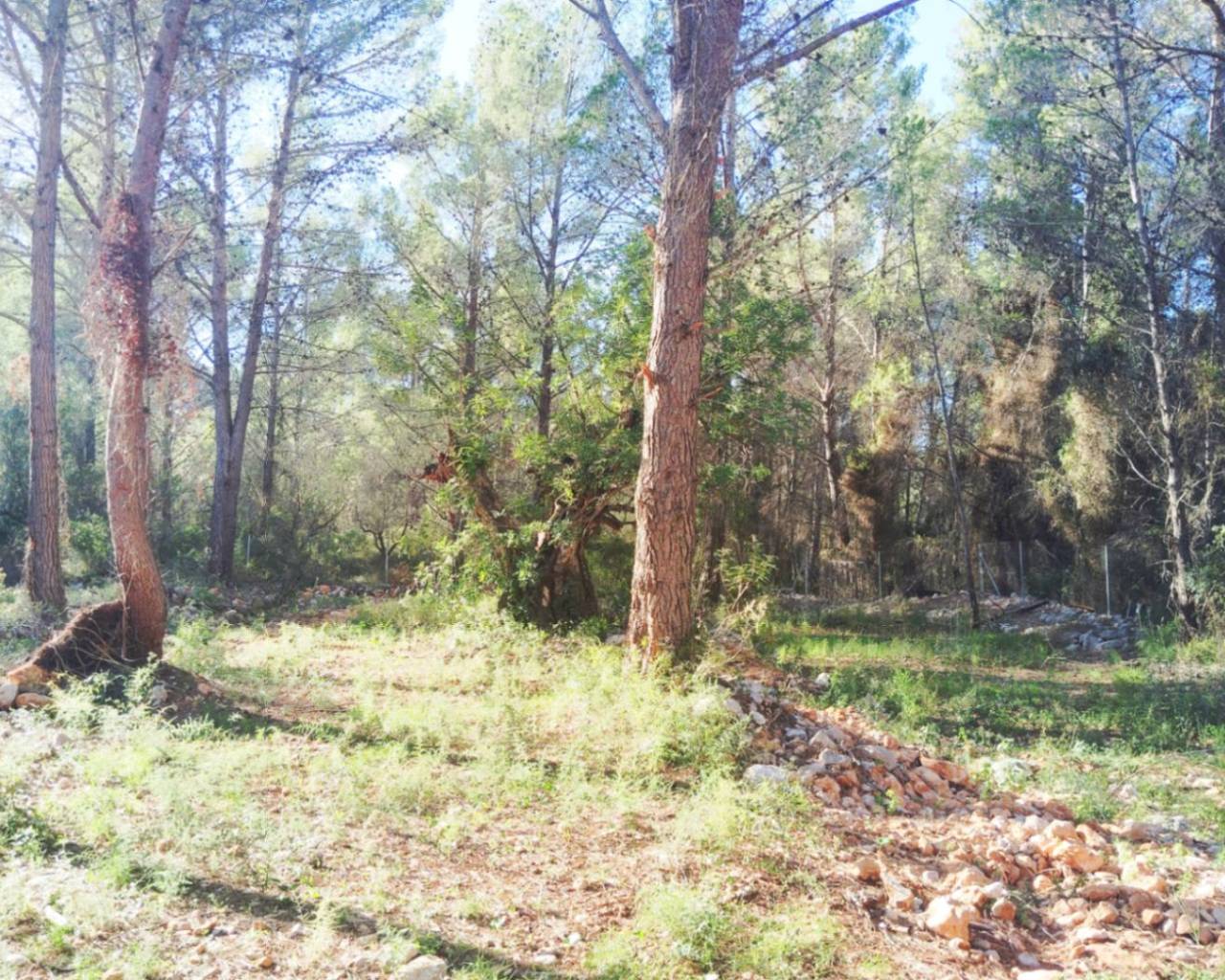 Vente - Villa individuelle - Jalon Valley - Parcent