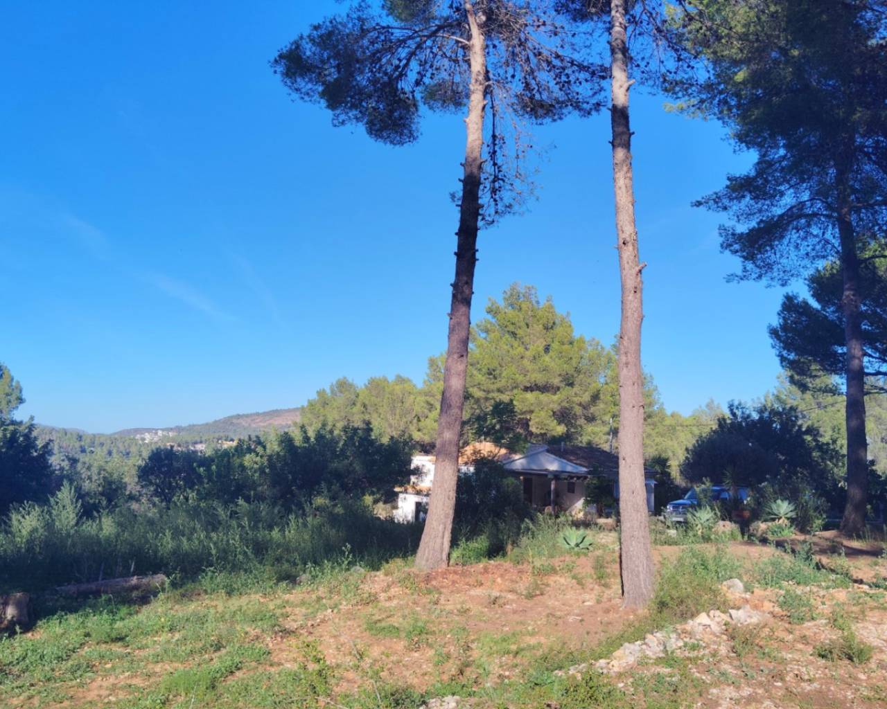 Vente - Villa individuelle - Jalon Valley - Parcent