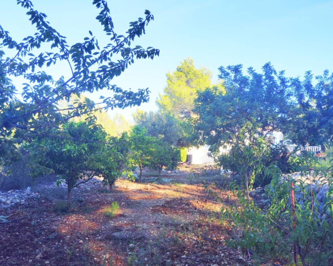 Vente - Villa individuelle - Jalon Valley - Parcent