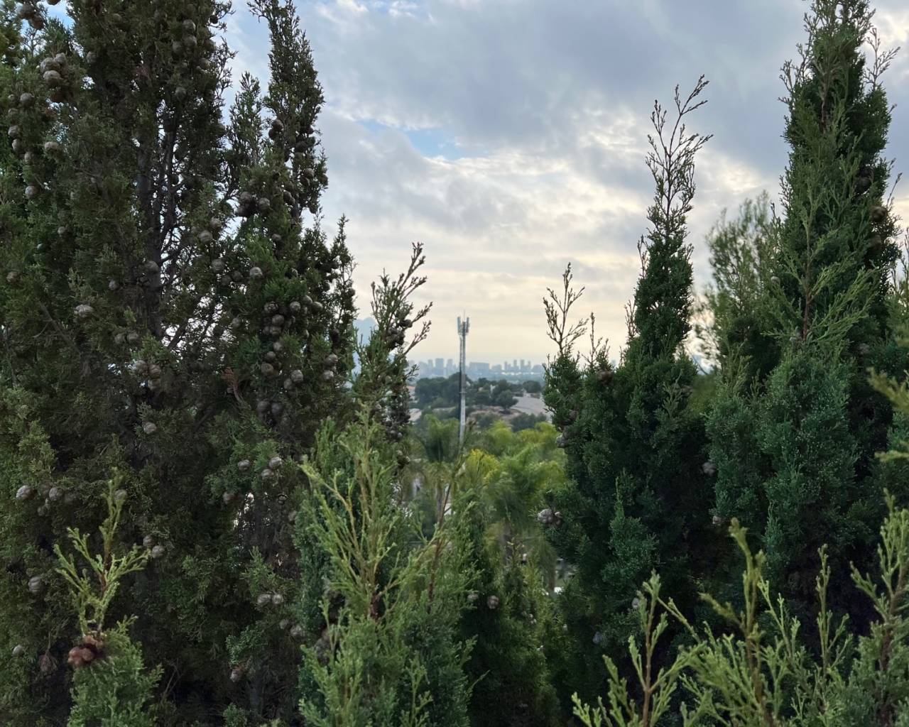Vente - Villa individuelle - Benissa - Benissa Costa