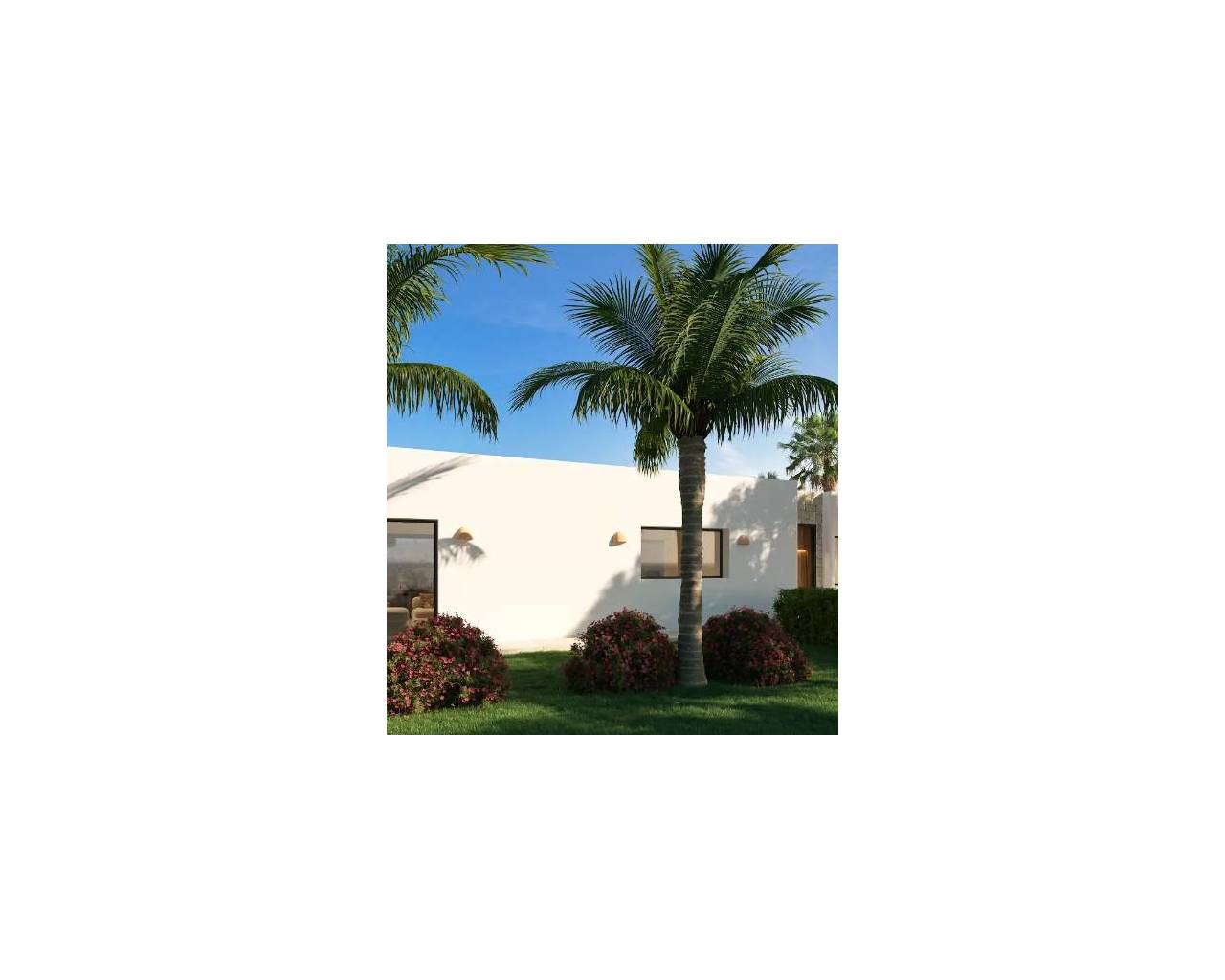 Vente - Villa individuelle - Javea