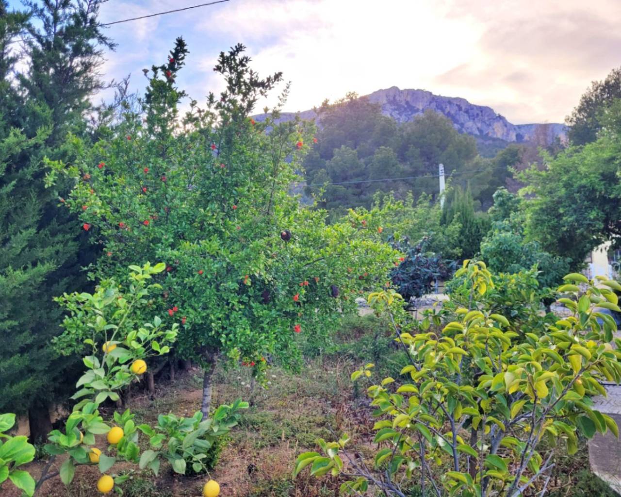 Vente - Villa individuelle - Calpe