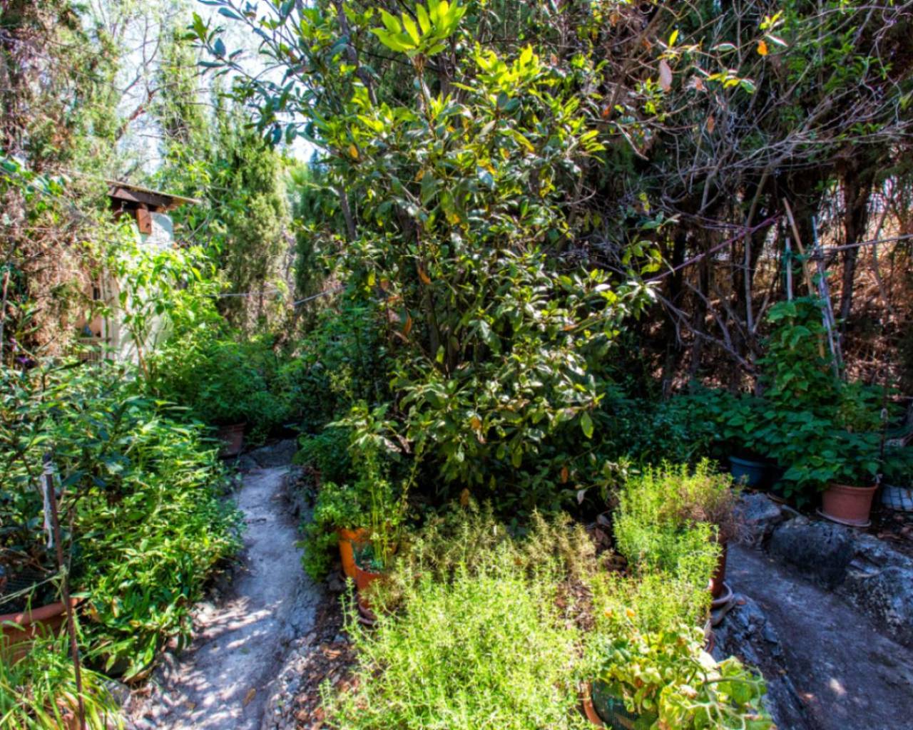 Vente - Villa individuelle - Calpe - La Cometa III