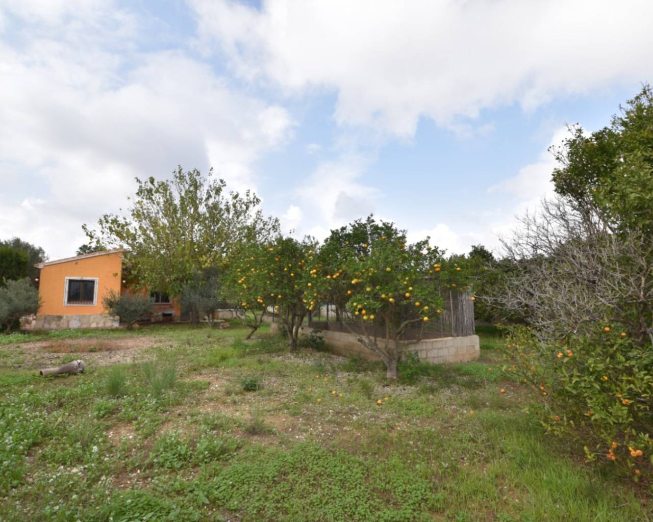 Vente - Villa individuelle - Javea