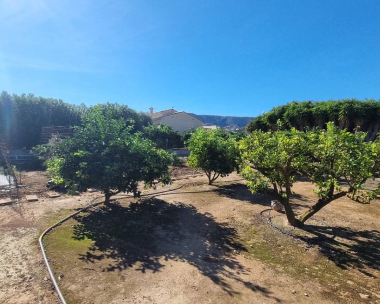 Vente - Villa individuelle - Pedreguer