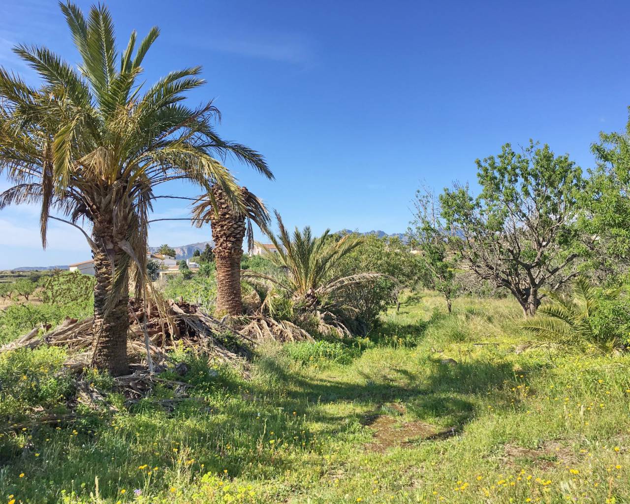 Vente - Villa individuelle - Benissa - Rural