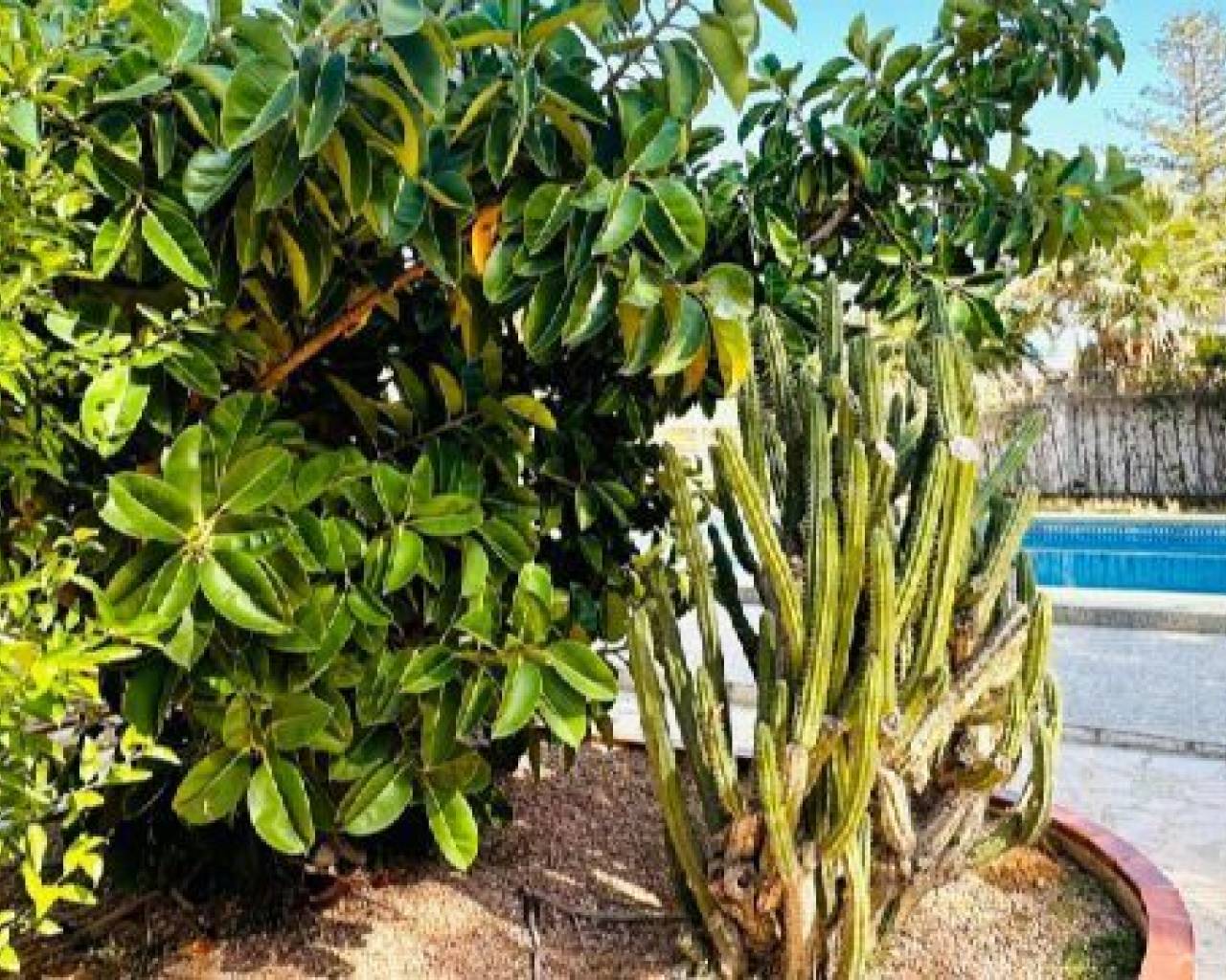 Vente - Villa individuelle - Dénia - Las Rotas