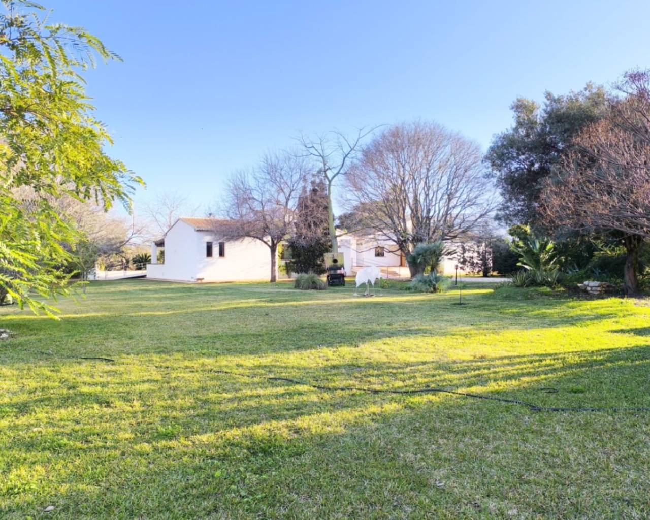 Vente - Villa individuelle - Ondara