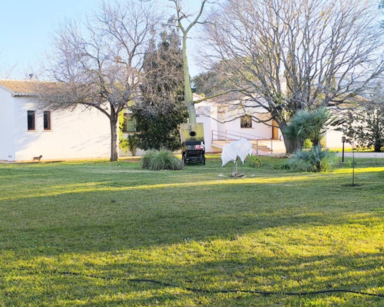 Vente - Villa individuelle - Ondara