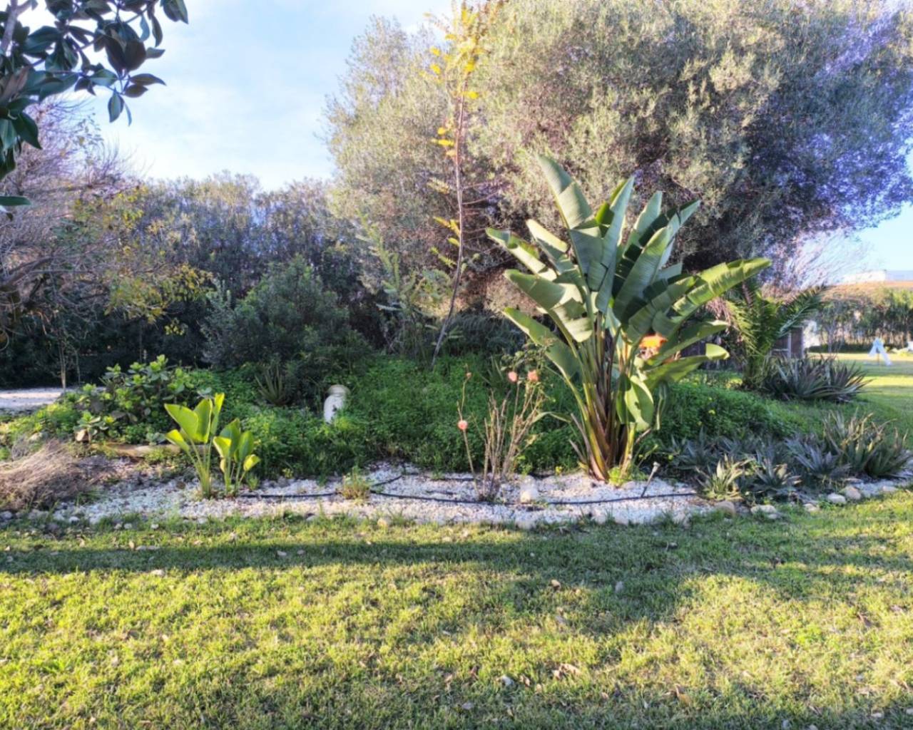 Vente - Villa individuelle - Ondara