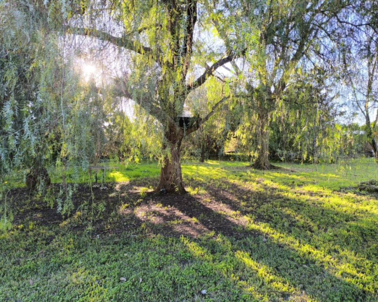 Vente - Villa individuelle - Ondara