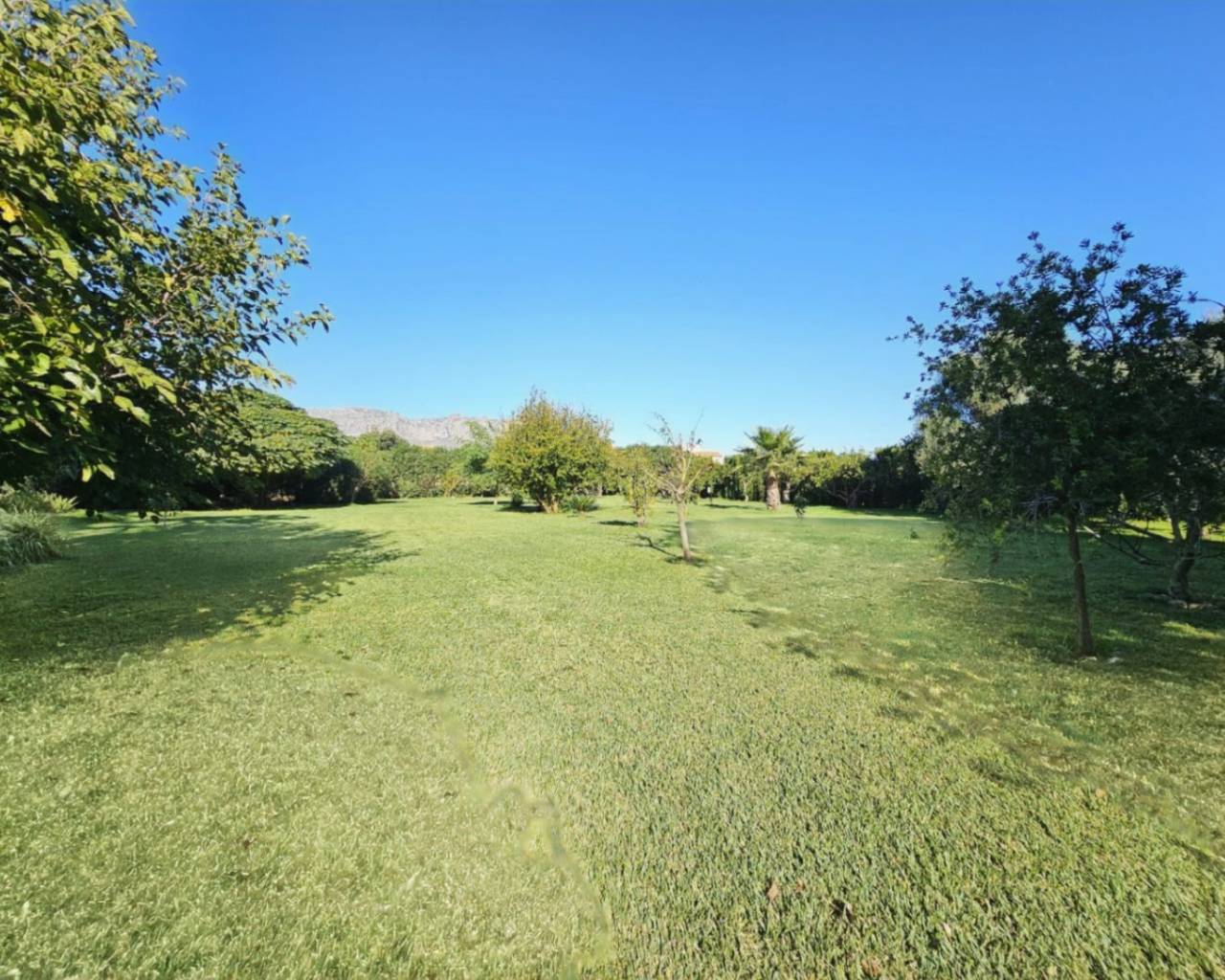 Vente - Villa individuelle - Ondara