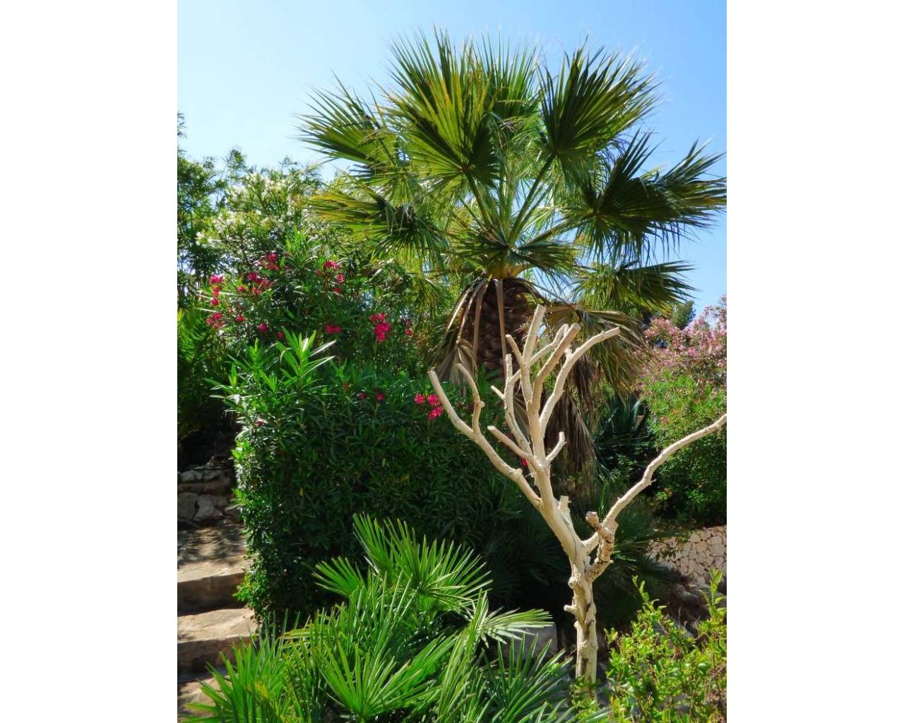 Продажа - Вилла - Хавеа - Javea