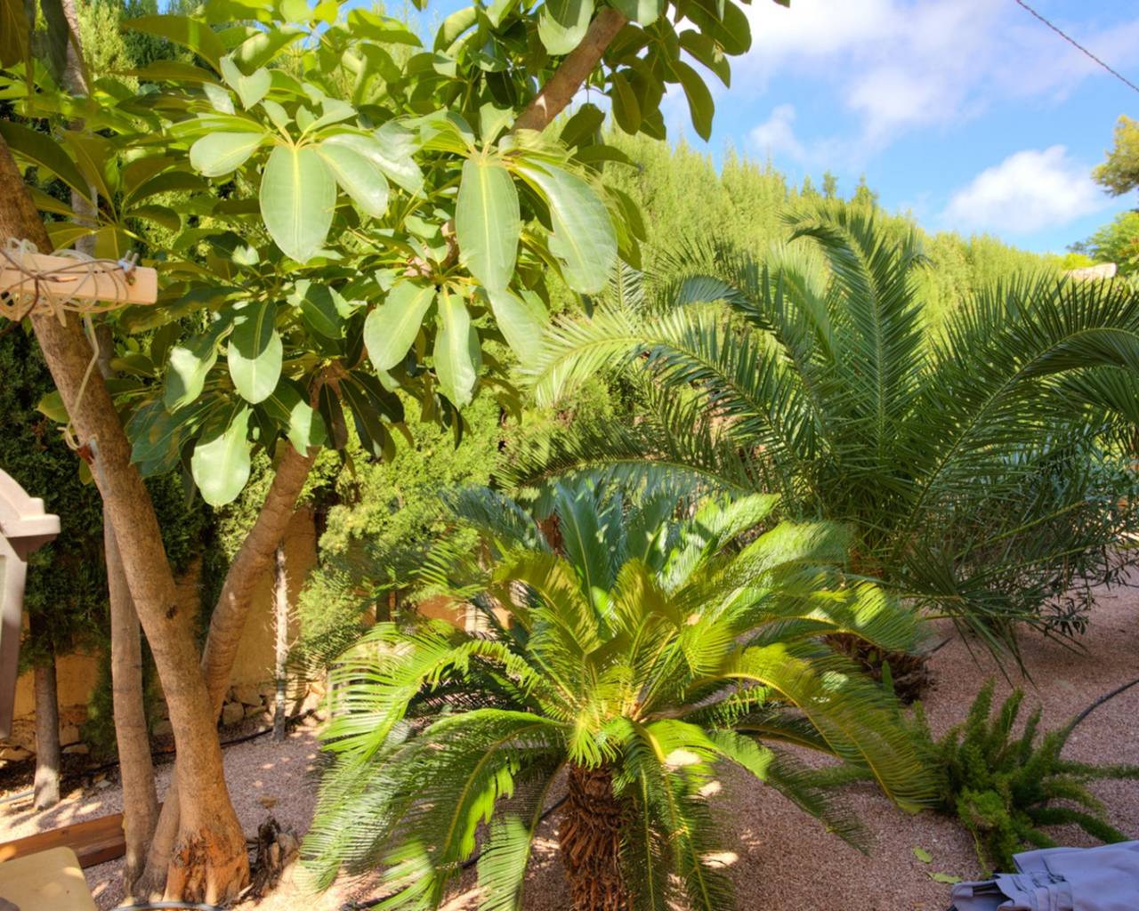 Продажа - Вилла - Кальпе - Calpe