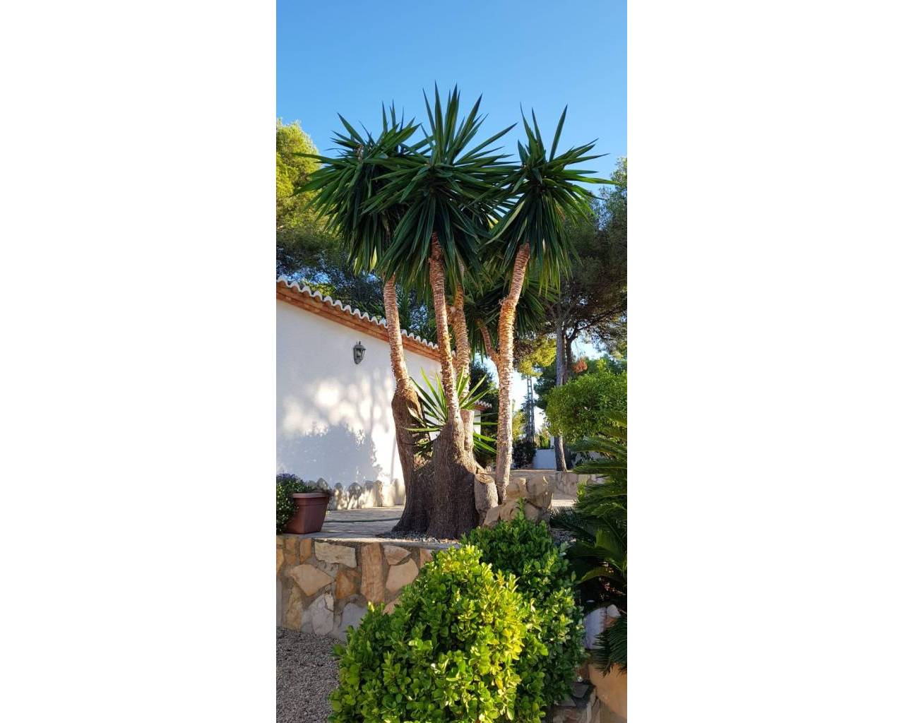 Продажа - Вилла - Морайра - Moraira