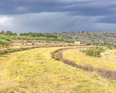 Parcela - Venta - Benissa - 46-43494