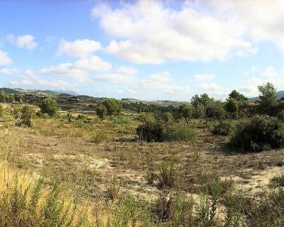 Plot - Sales - Moraira - 53-68376