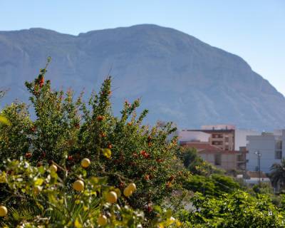 Дом в рустикальном стиле - Продажа - Гата де Горгос - 10-63897