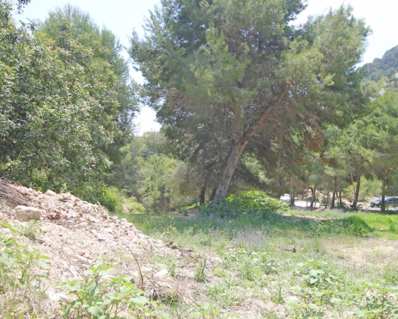 Plot - Sales - Javea - Javea