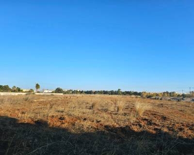 Plot - Sales - Denia - 15-15285