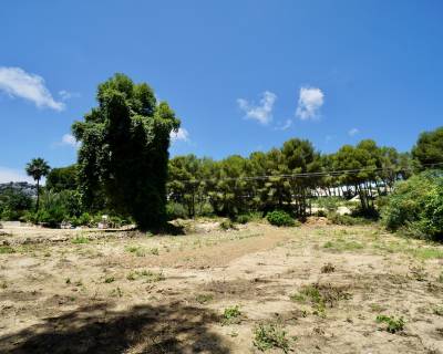 Parcela - Venta - Moraira - 55-43266