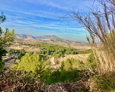 Участок - Продажа - Морайра - 55-55192