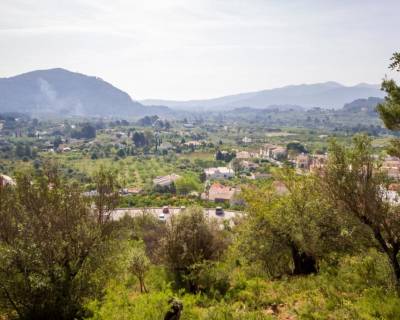 Участок - Продажа - Долина Халона - 57-58648