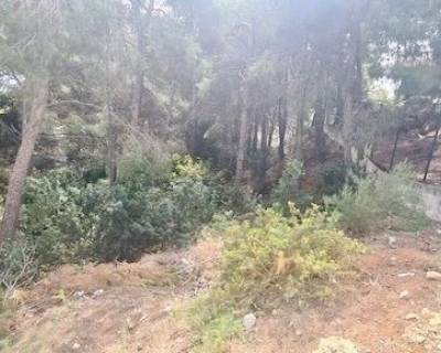 Plot - Sales - Altea - 72-95310